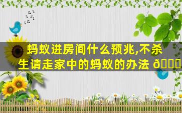 蚂蚁进房间什么预兆,不杀生请走家中的蚂蚁的办法 🐅